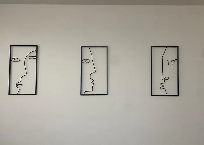 Cerny Tulipan - 5 Plzeň