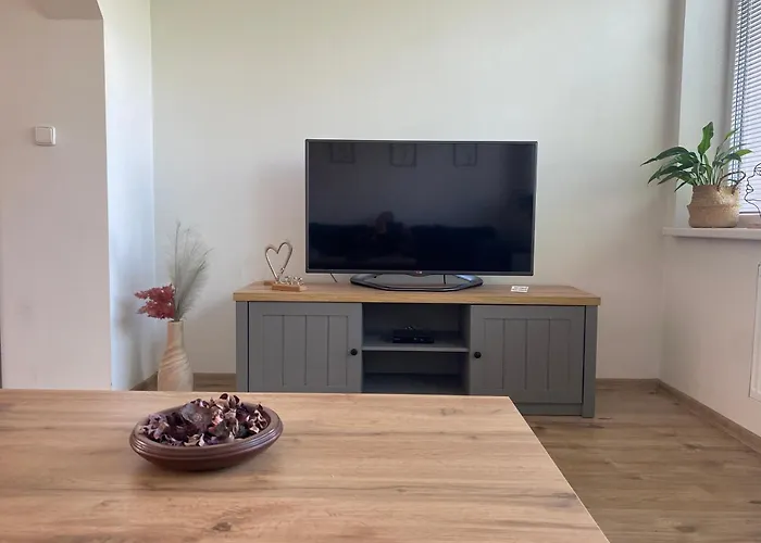 Cerny Tulipan - 5 Appartement Plzeň