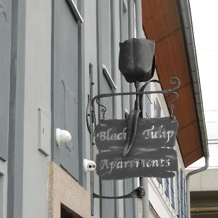 Apartmán černý Tulipán - 5 Plzeň