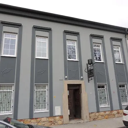 Apartmán černý Tulipán - 5 Plzeň