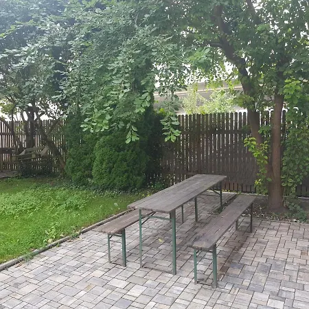 černý Tulipán - 5 Plzeň