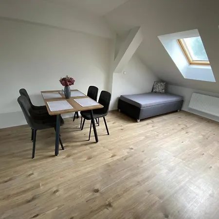 černý Tulipán - 5 Apartmán Plzeň