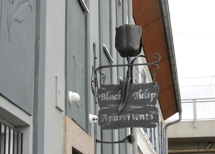 Apartamento černý Tulipán - 5 Plzeň